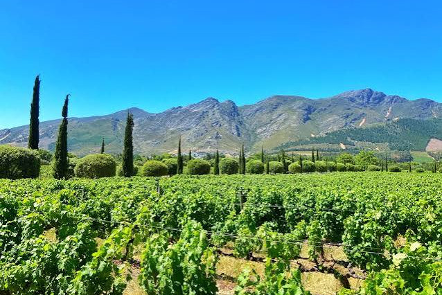 CAPE WINELANDS FULL-DAY TOUR — STELLENBOSCH & FRANSCHHOEK