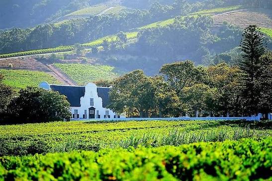 CONSTANTIA WINE VALLEY HALF-DAY TOUR