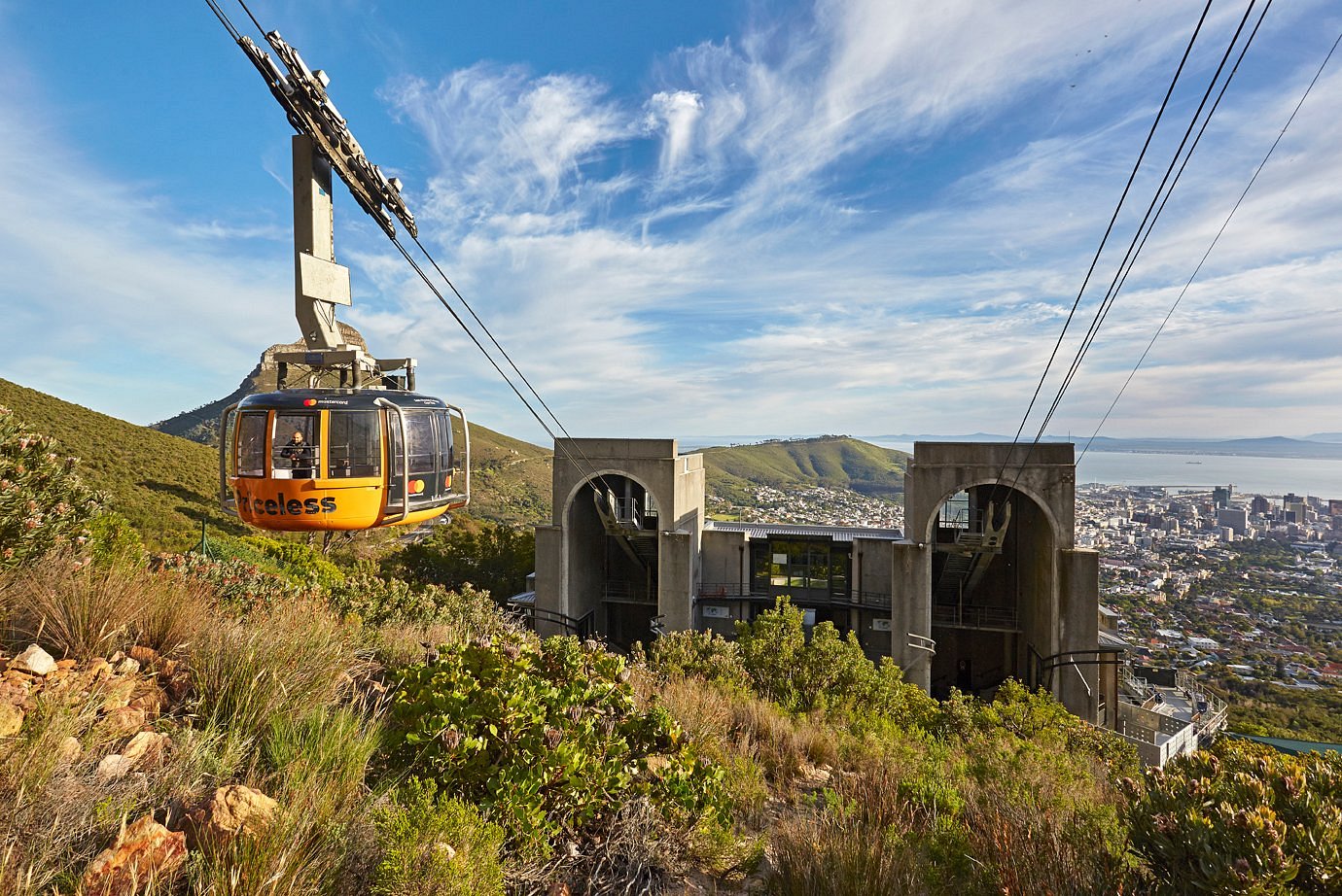 Table Mountain Transfer