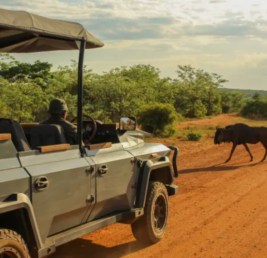 South Africa’s first electric safari vehicle could change the future of game drives