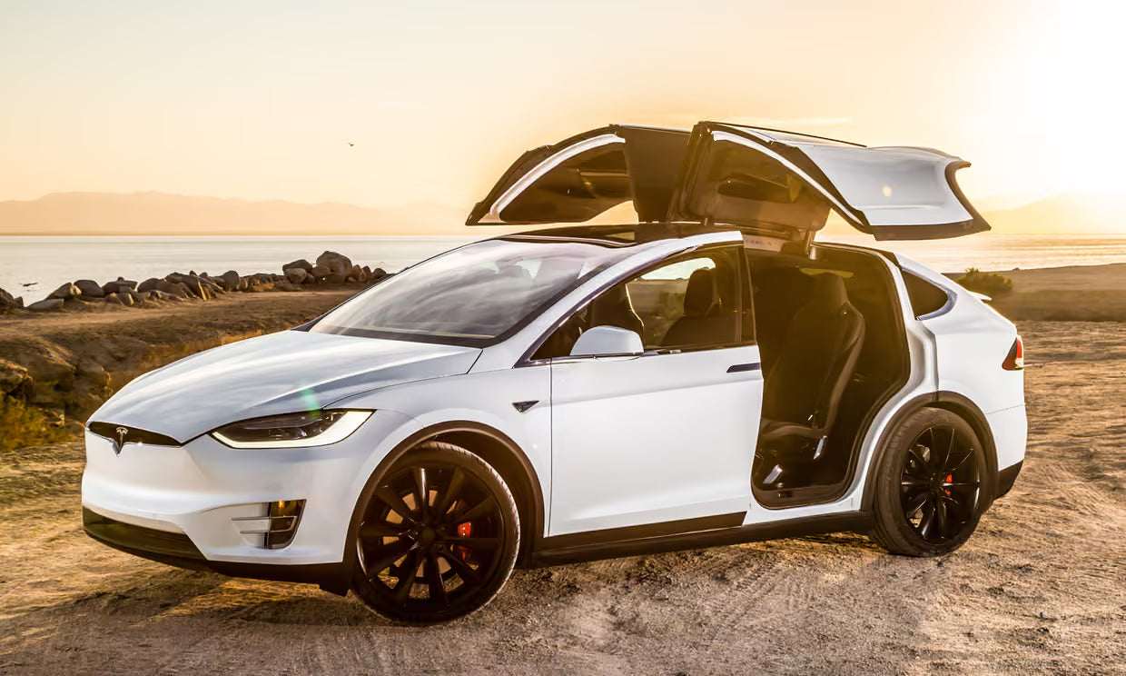 TESLA MODEL X — FULL DAY PRIVATE CHAUFFEUR EXPERIENCE