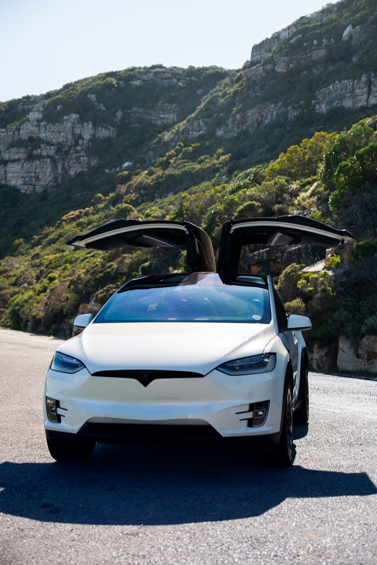 TESLA MODEL X — FULL DAY PRIVATE CHAUFFEUR EXPERIENCE