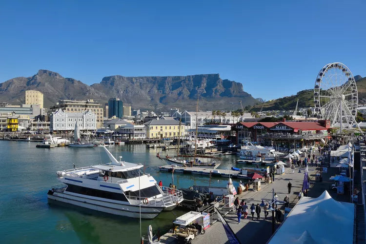Table Mountain Transfer