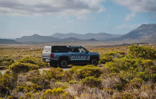 ELGIN ELECTRIC ESCAPE EXPERIENCE