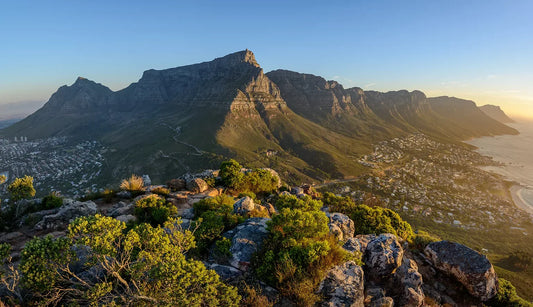 Table Mountain Transfer