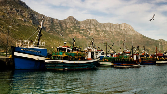 Hout Bay Transfer