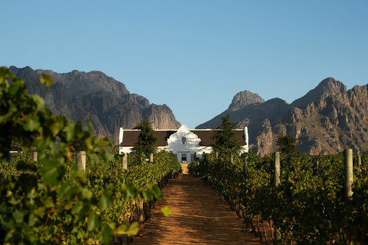 Paarl Transfer