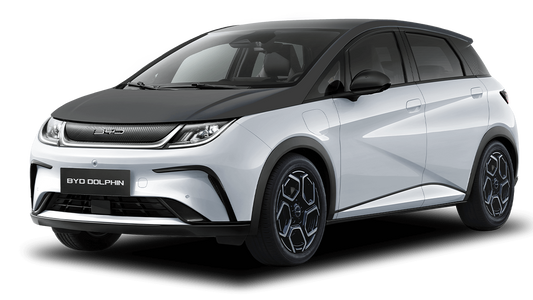 BYD DOLPHIN - DAILY RENTAL CAPE TOWN - WHITE AND GREY