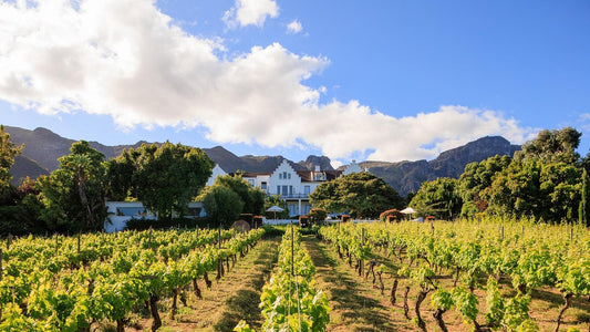 Constantia Transfer