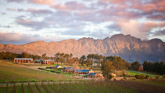 Stellenbosch Transfer