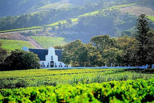 CONSTANTIA WINE VALLEY HALF-DAY TOUR